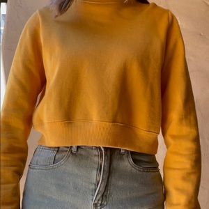 Yellow Cropped Crewneck